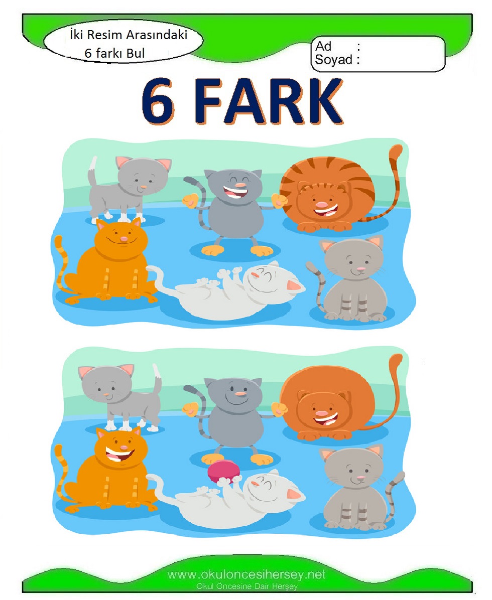 İki Resim Arasındaki 6 Farkı Bul