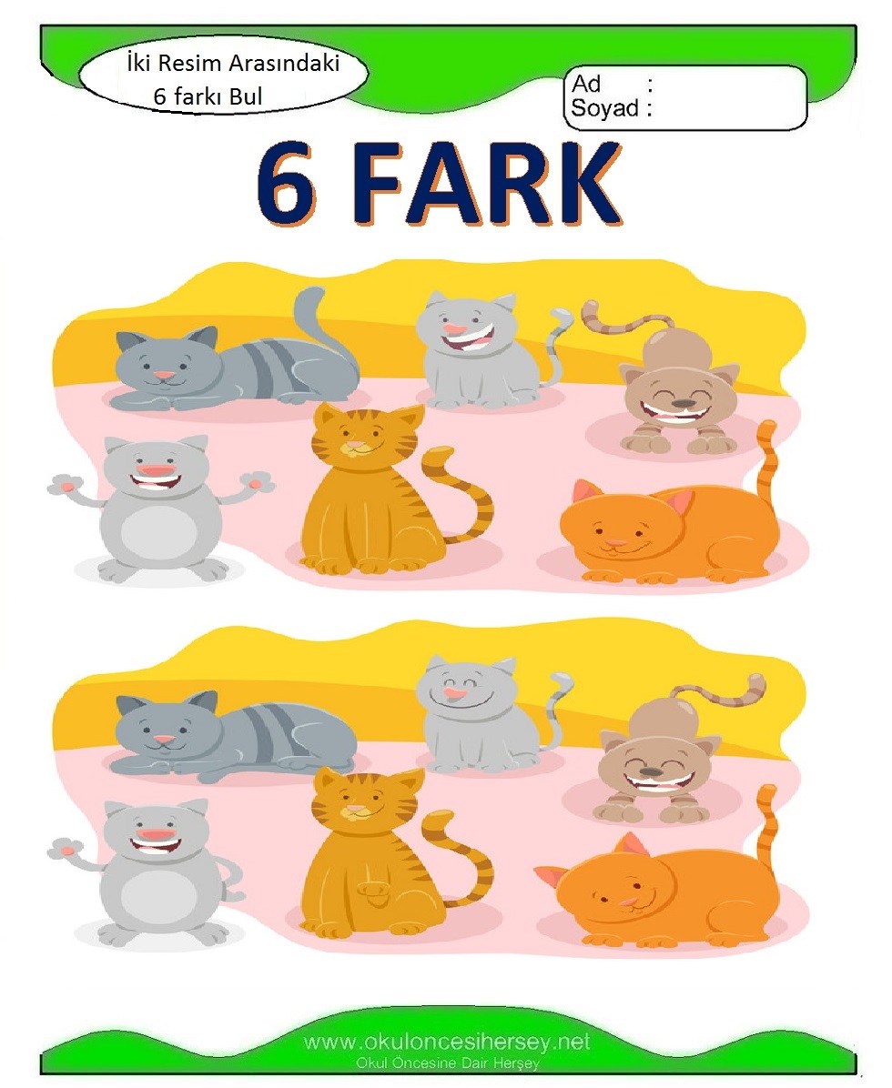 İki Resim Arasındaki 6 Farkı Bul