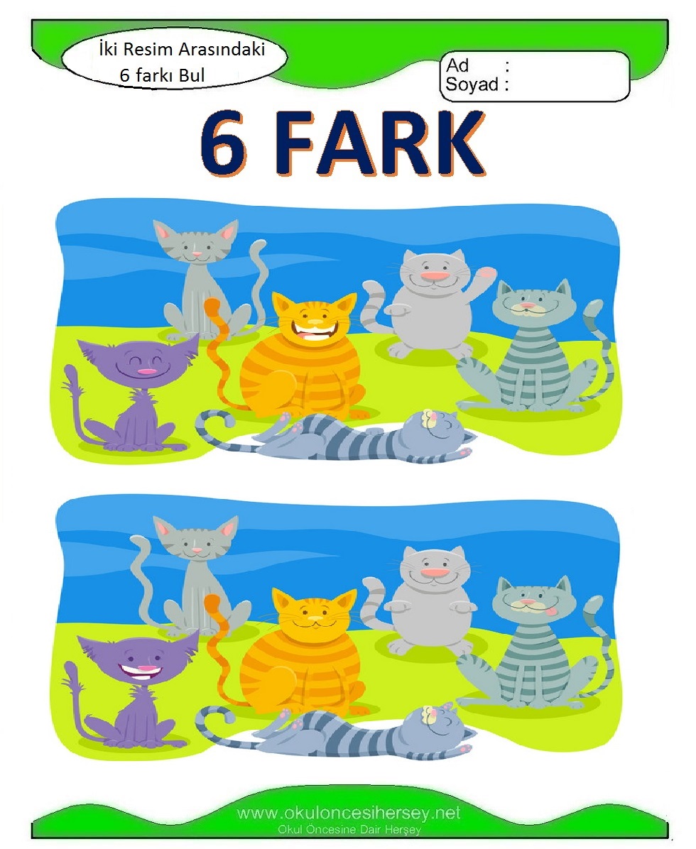 İki Resim Arasındaki 6 Farkı Bul