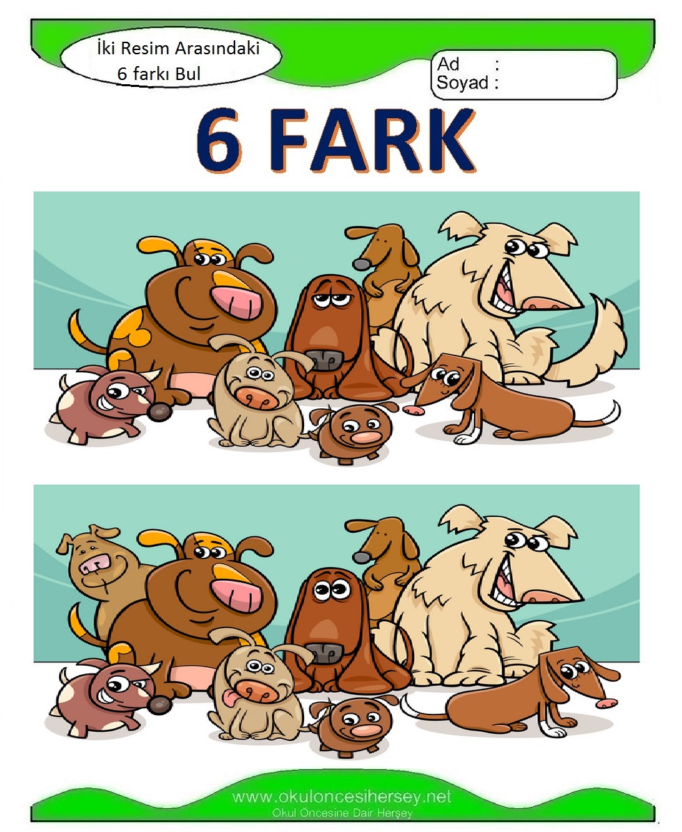 İki Resim Arasındaki 6 Farkı Bul