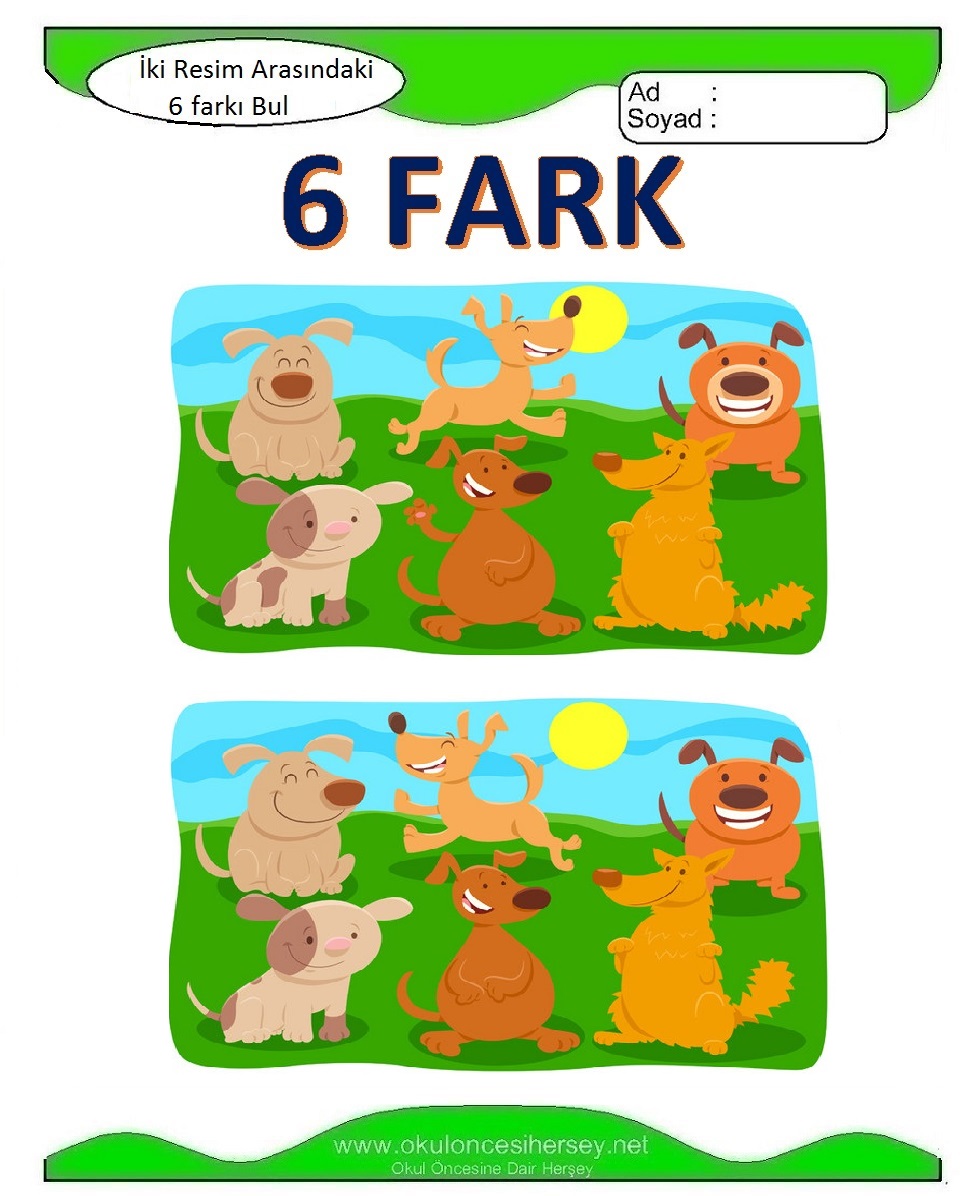 İki Resim Arasındaki 6 Farkı Bul