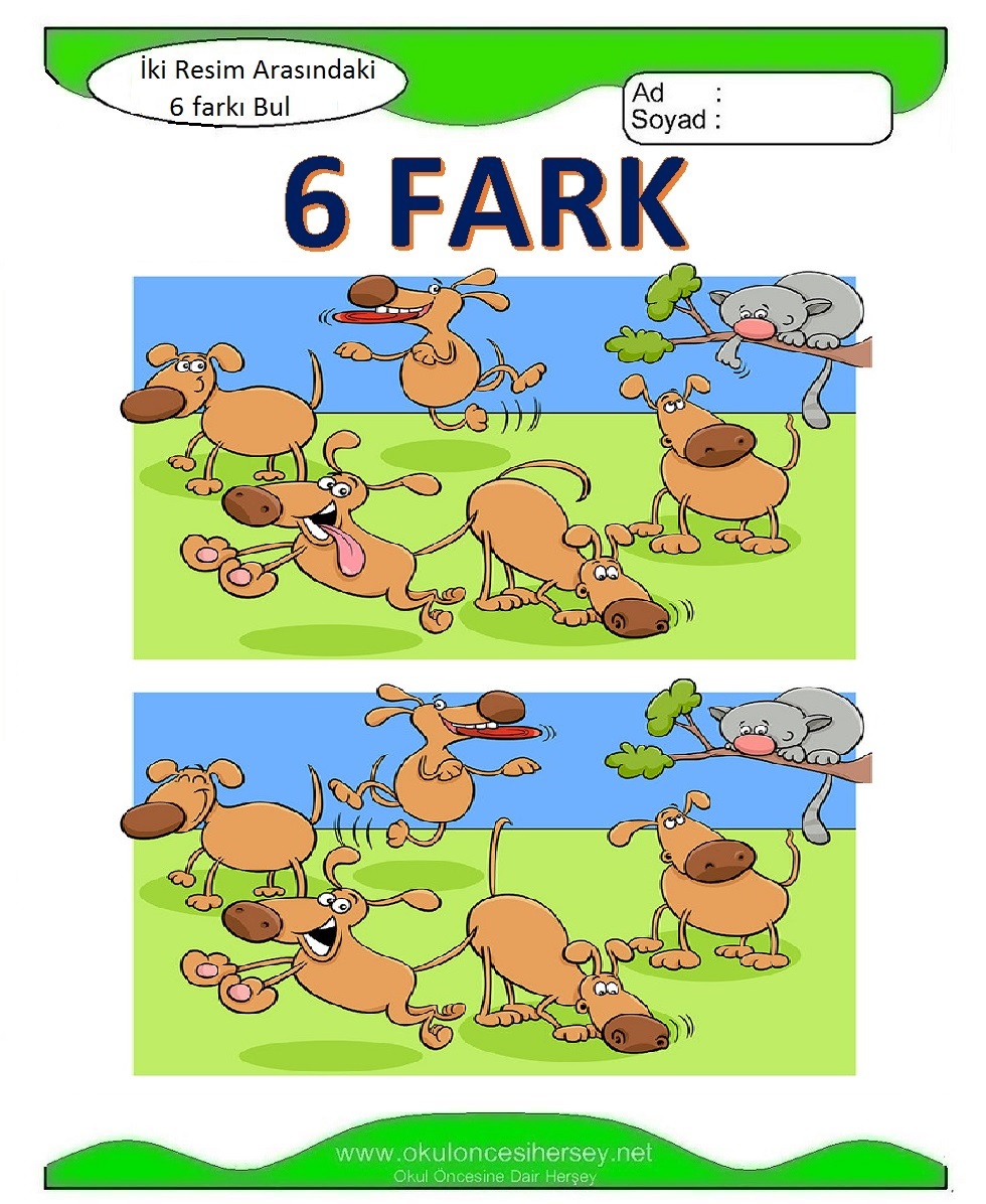 İki Resim Arasındaki 6 Farkı Bul