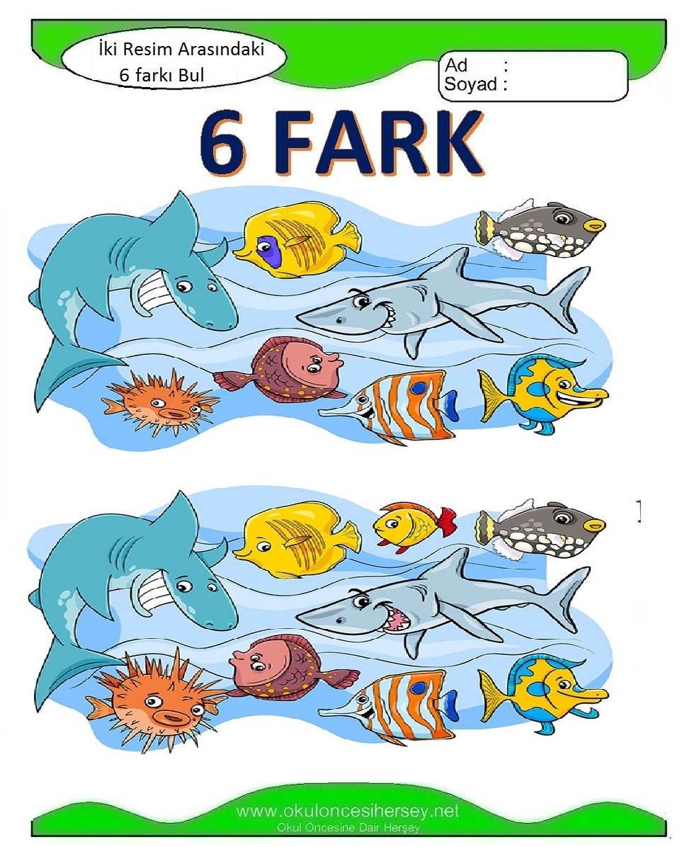 İki Resim Arasındaki 6 Farkı Bul