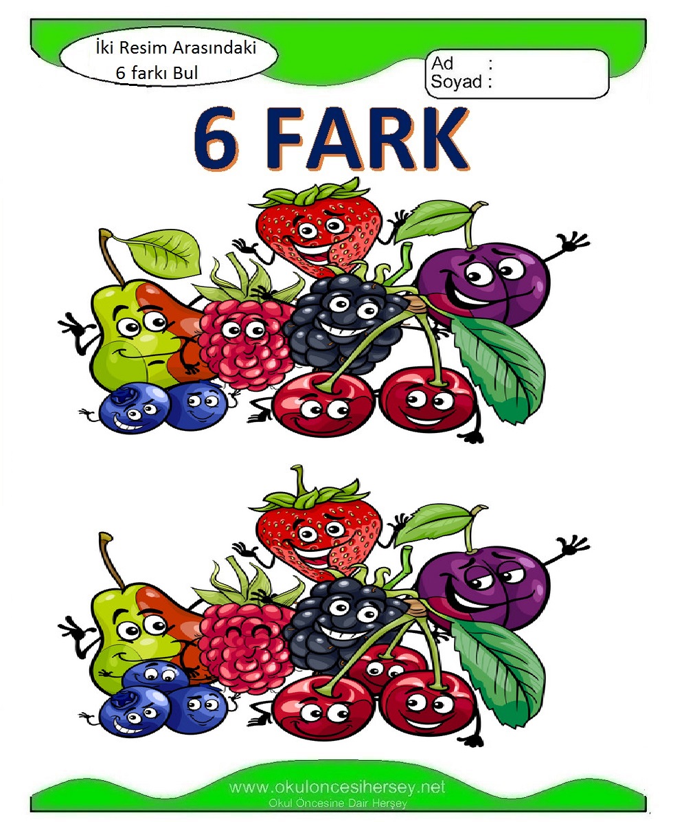 İki Resim Arasındaki 6 Farkı Bul