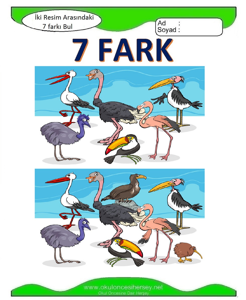 İki Resim Arasındaki 7 Farkı Bul