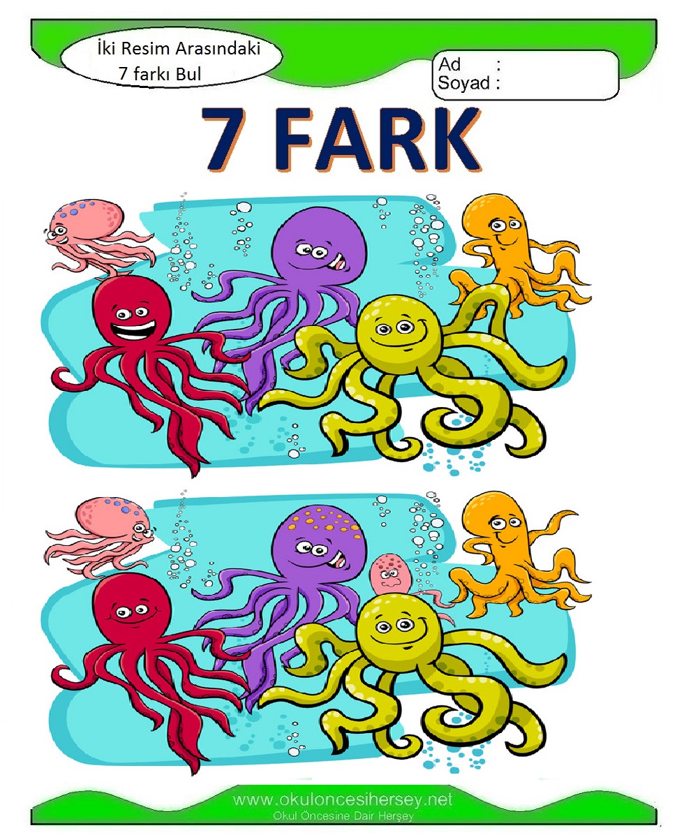 İki Resim Arasındaki 7 Farkı Bul