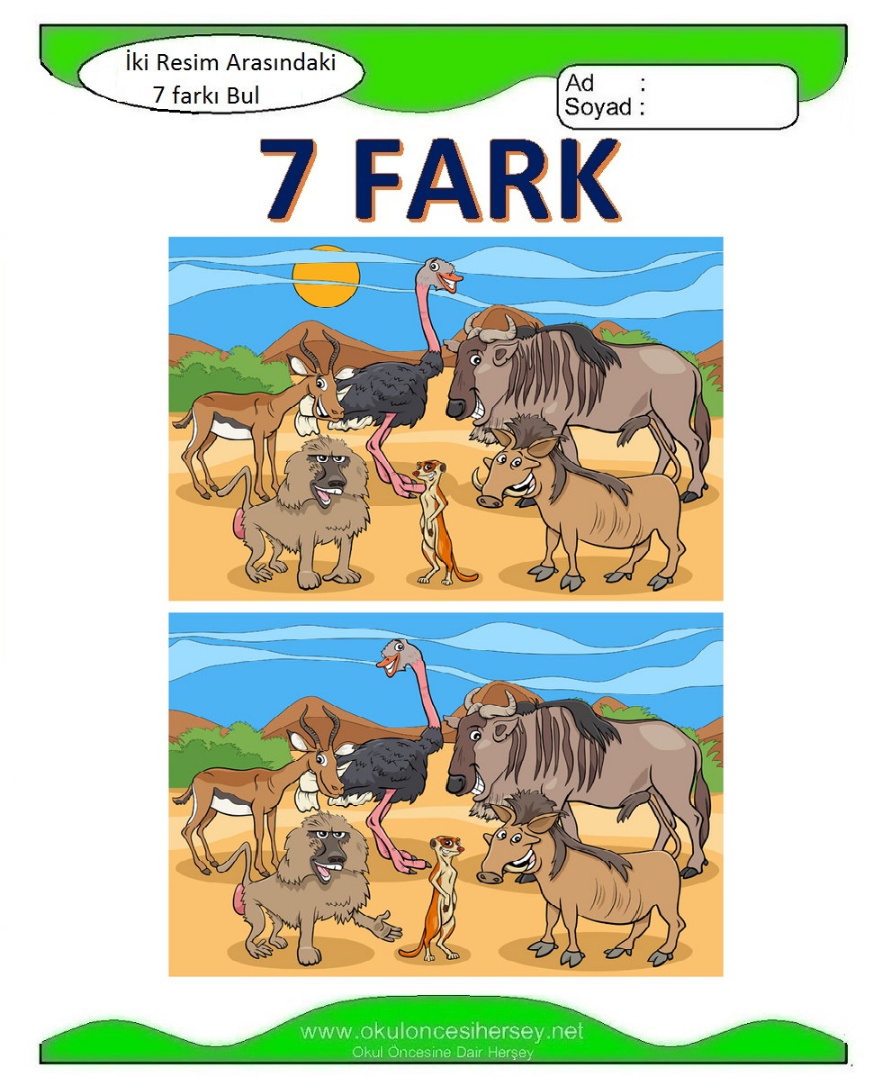 İki Resim Arasındaki 7 Farkı Bul