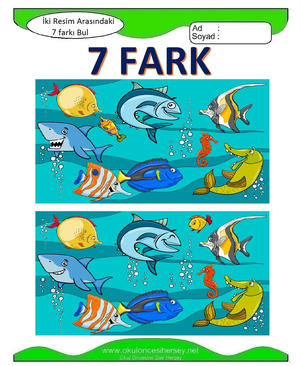 İki Resim Arasındaki 7 Farkı Bul