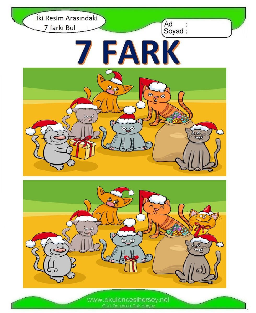 İki Resim Arasındaki 7 Farkı Bul