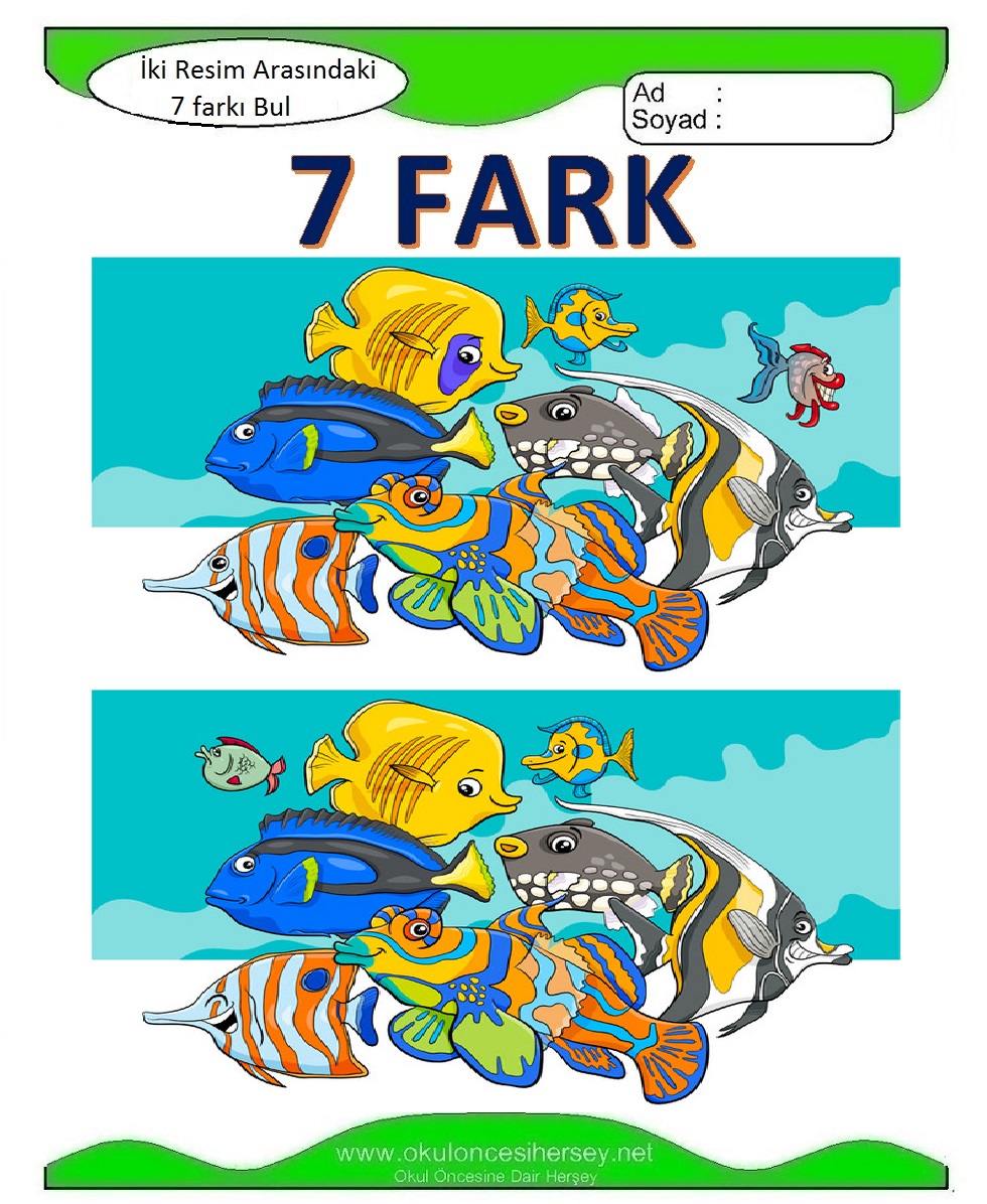 İki Resim Arasındaki 7 Farkı Bul