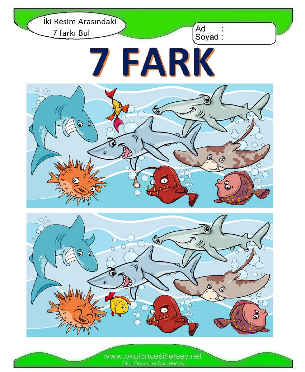 İki Resim Arasındaki 7 Farkı Bul