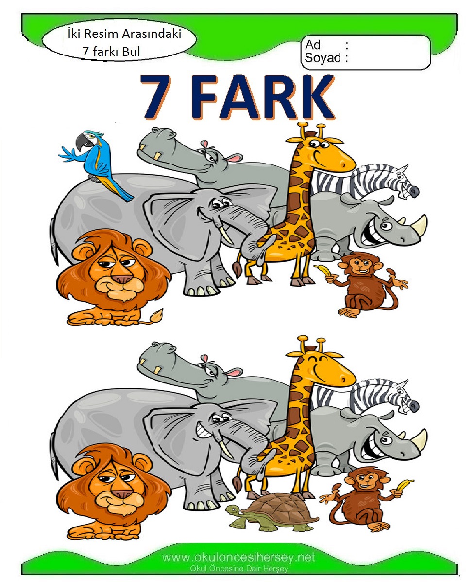 İki Resim Arasındaki 7 Farkı Bul