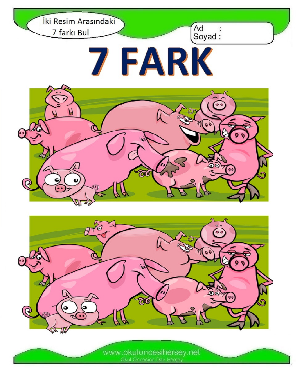 İki Resim Arasındaki 7 Farkı Bul