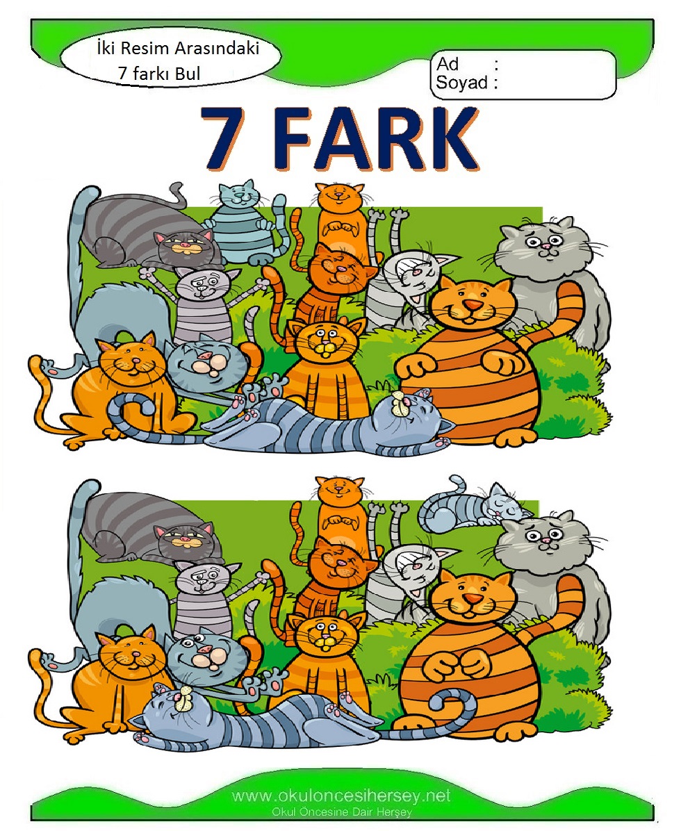 İki Resim Arasındaki 7 Farkı Bul