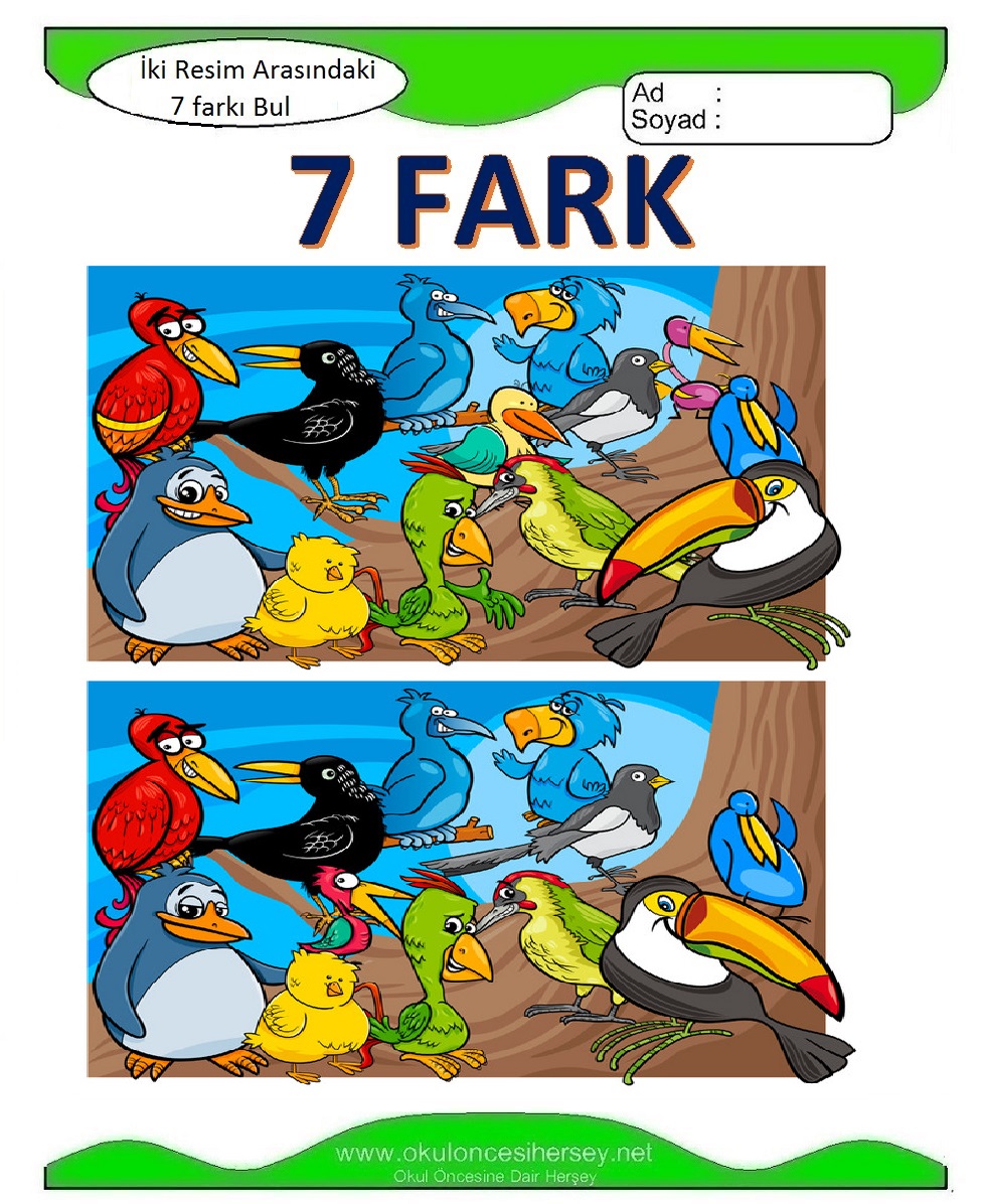 İki Resim Arasındaki 7 Farkı Bul