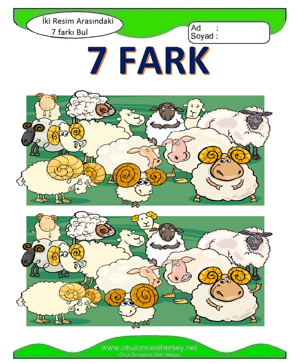 İki Resim Arasındaki 7 Farkı Bul