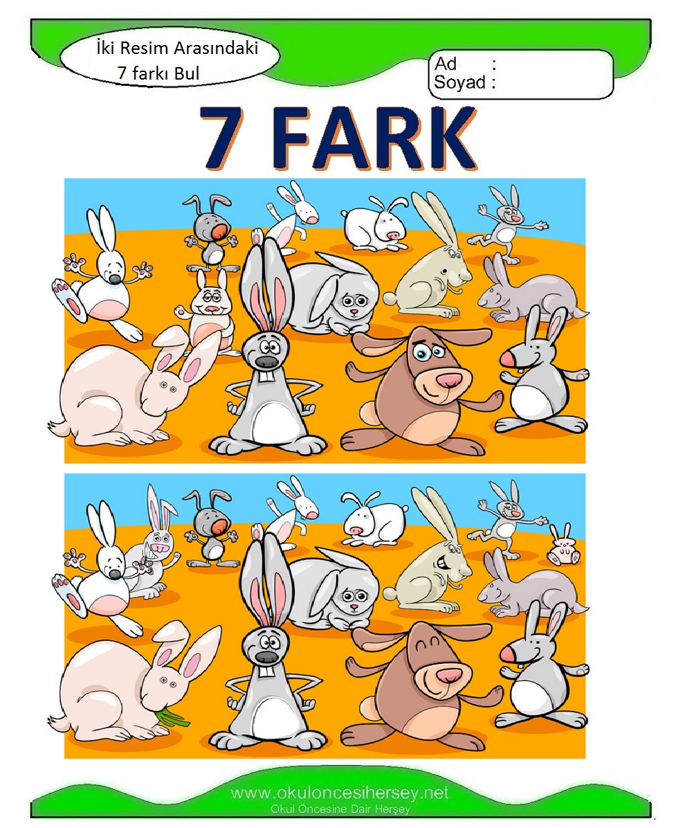 İki Resim Arasındaki 7 Farkı Bul