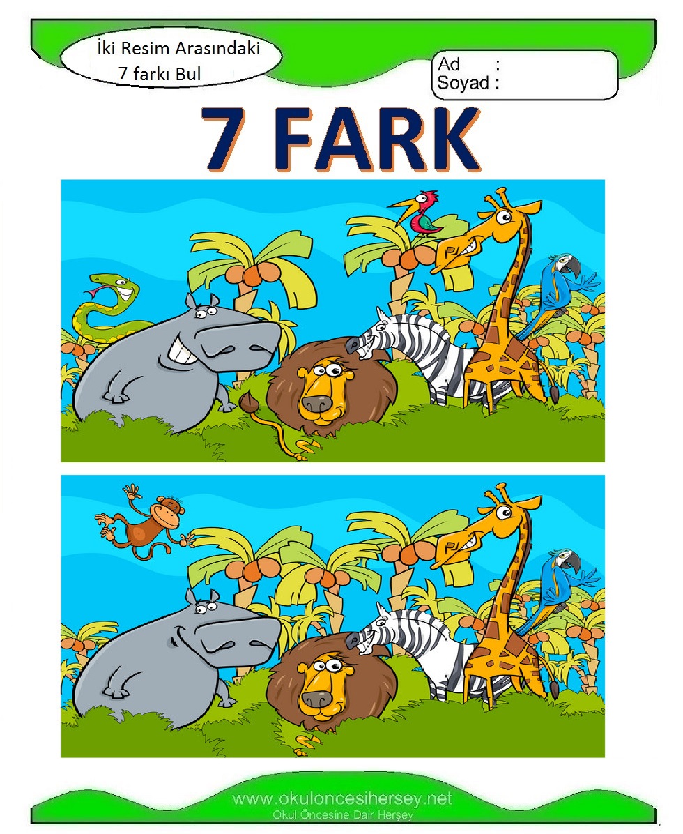 İki Resim Arasındaki 7 Farkı Bul