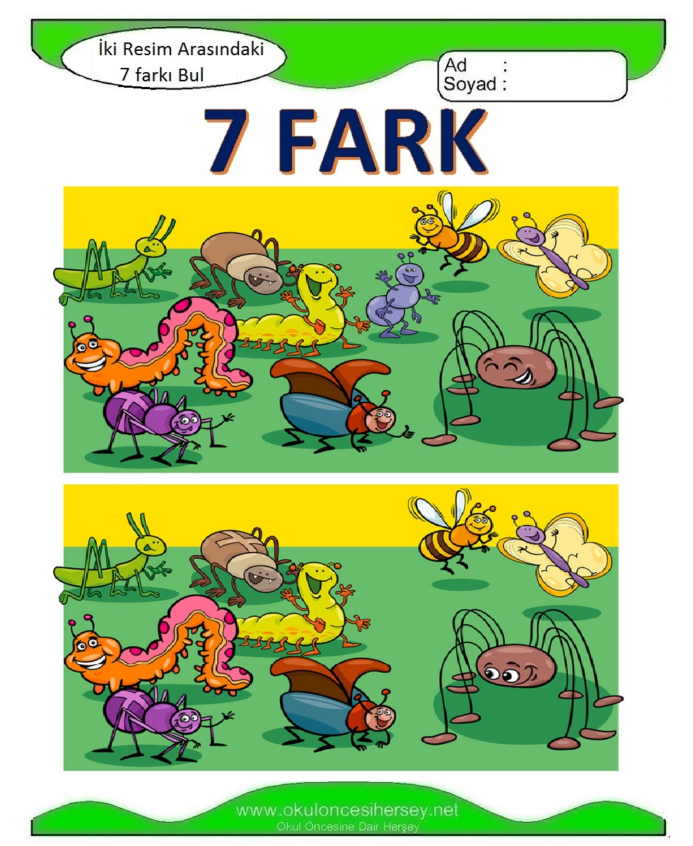 İki Resim Arasındaki 7 Farkı Bul