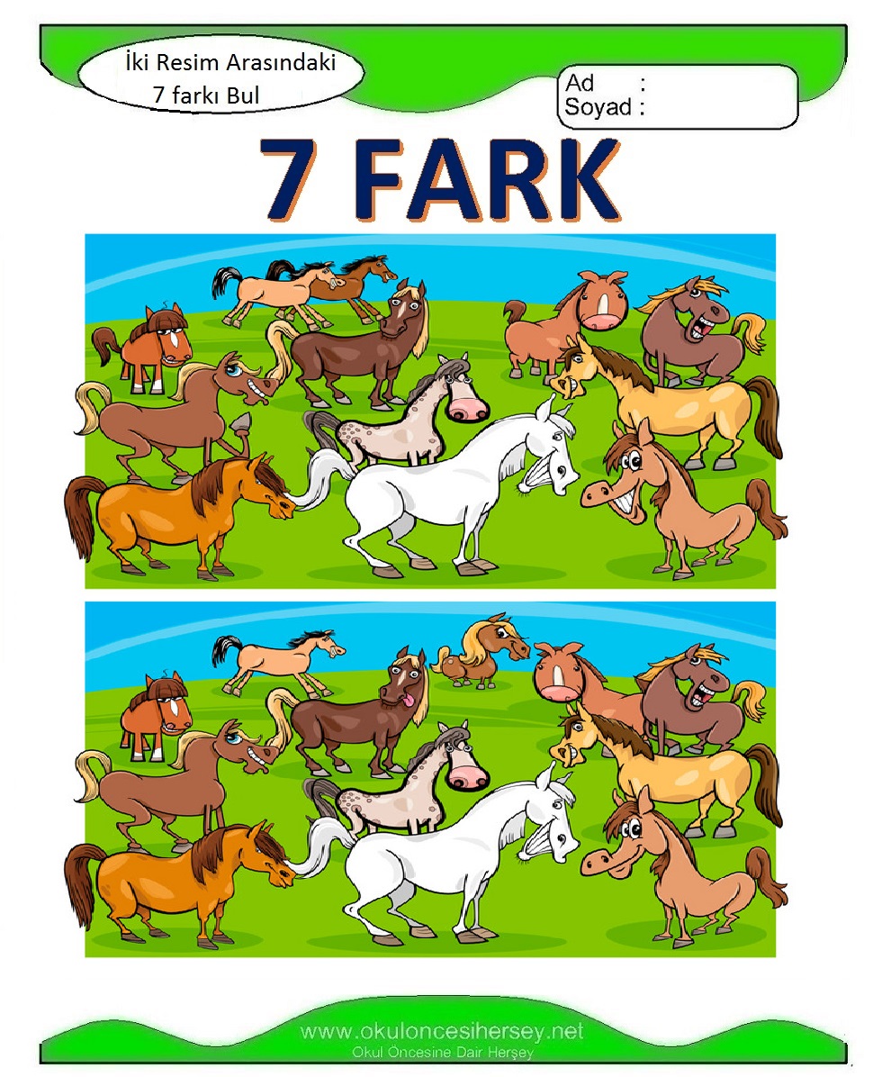 İki Resim Arasındaki 7 Farkı Bul