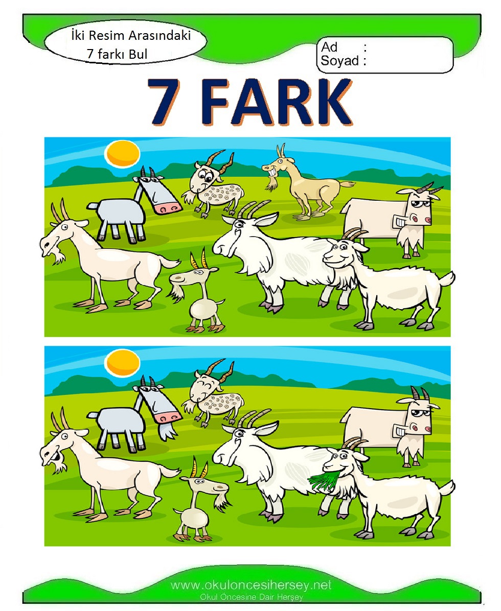 İki Resim Arasındaki 7 Farkı Bul