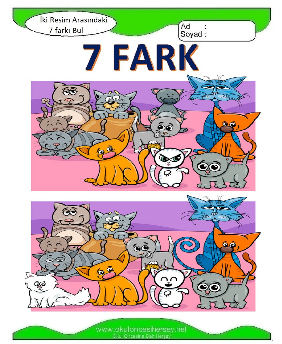 İki Resim Arasındaki 7 Farkı Bul