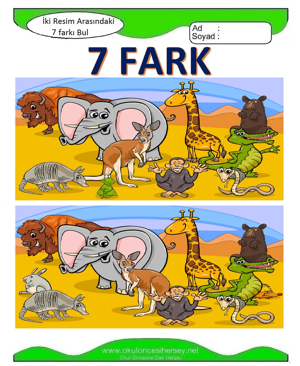 İki Resim Arasındaki 7 Farkı Bul