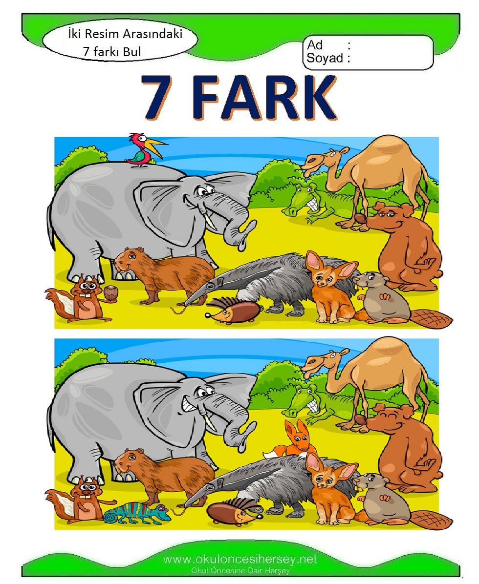 İki Resim Arasındaki 7 Farkı Bul