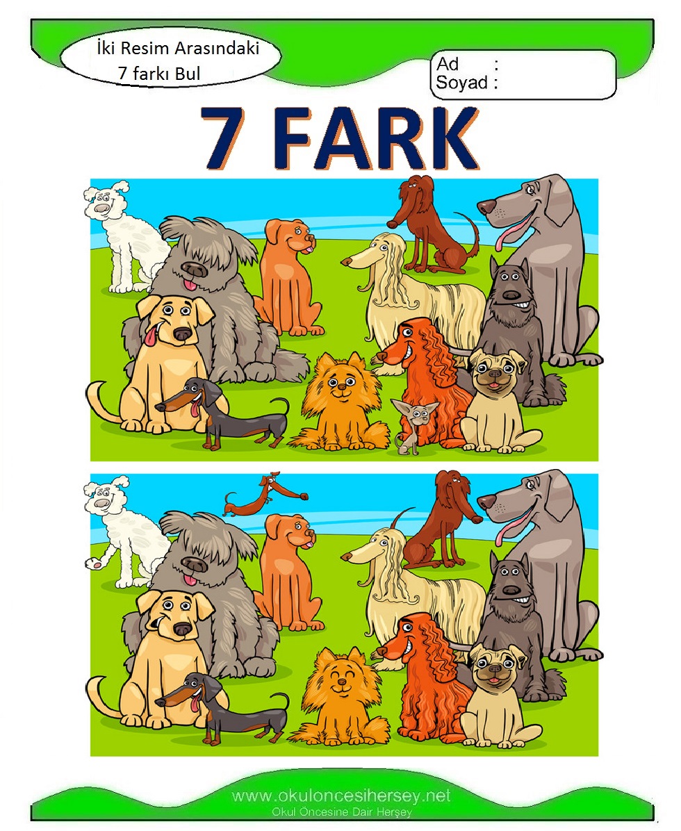 İki Resim Arasındaki 7 Farkı Bul