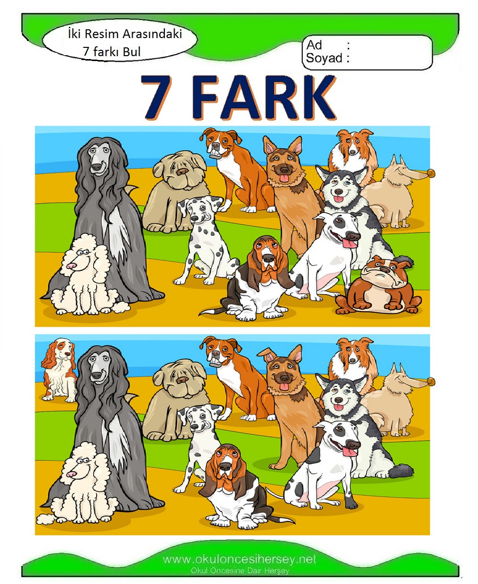 İki Resim Arasındaki 7 Farkı Bul