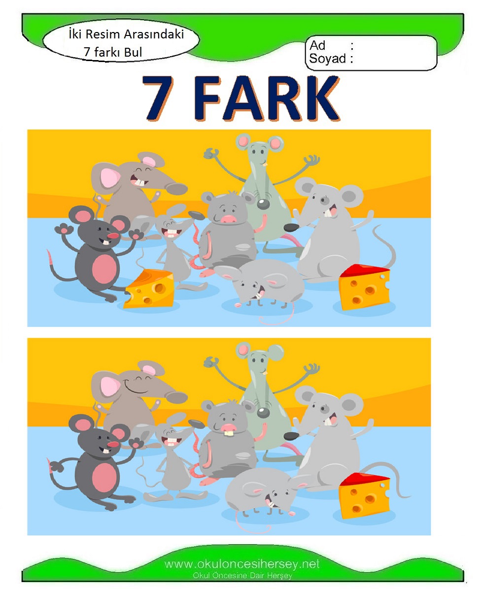 İki Resim Arasındaki 7 Farkı Bul