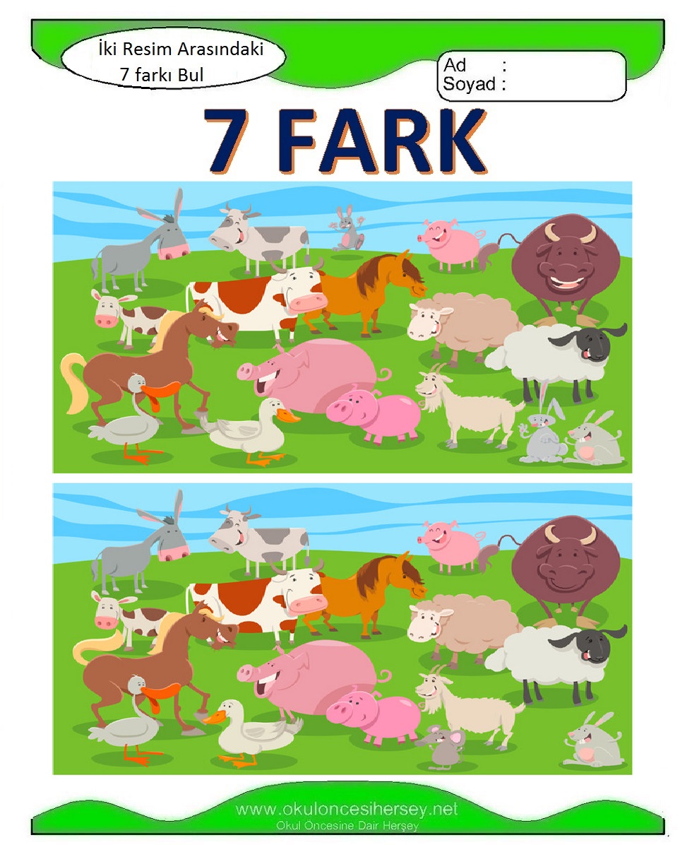 İki Resim Arasındaki 7 Farkı Bul