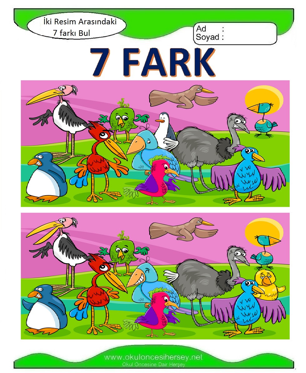 İki Resim Arasındaki 7 Farkı Bul