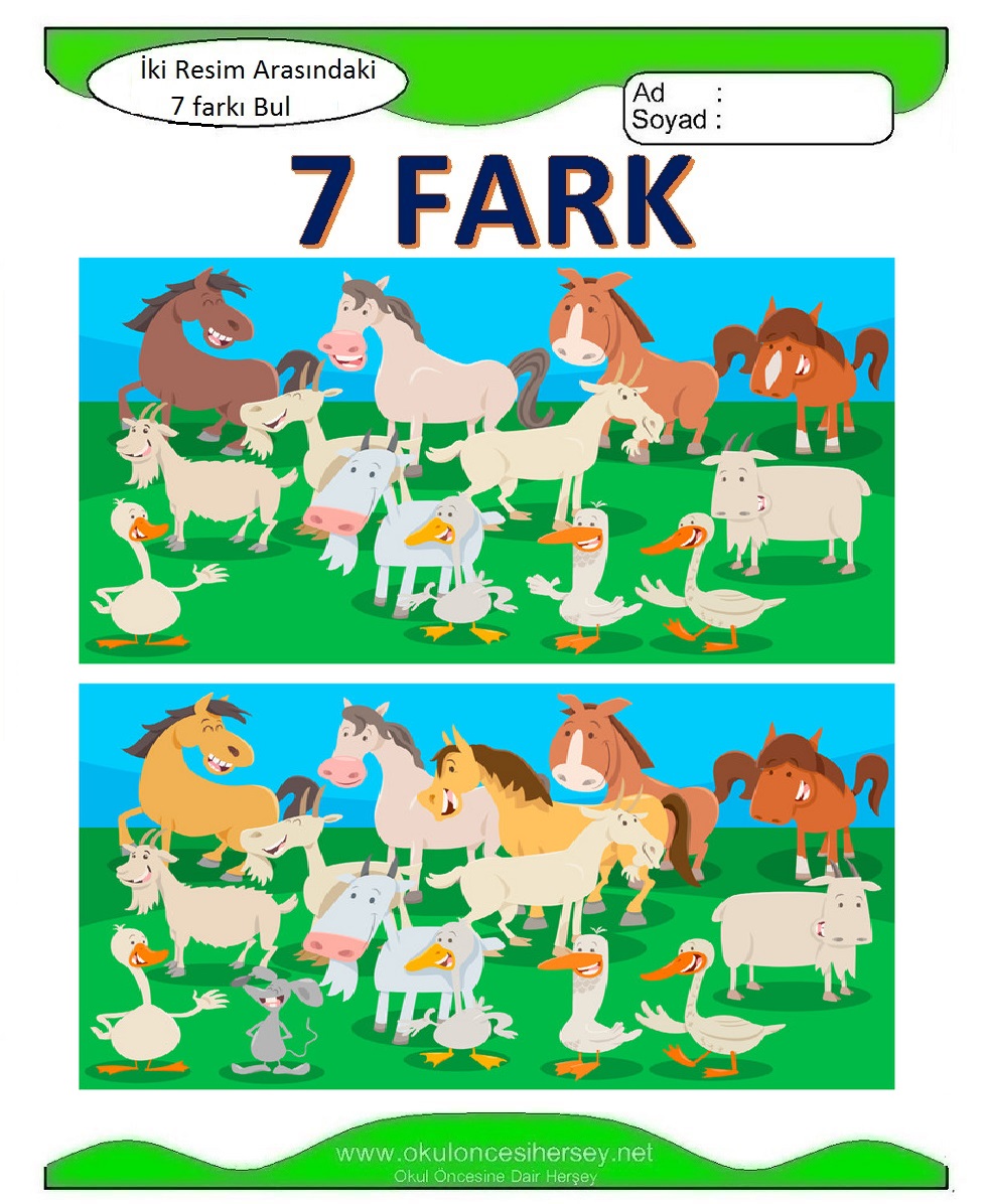 İki Resim Arasındaki 7 Farkı Bul