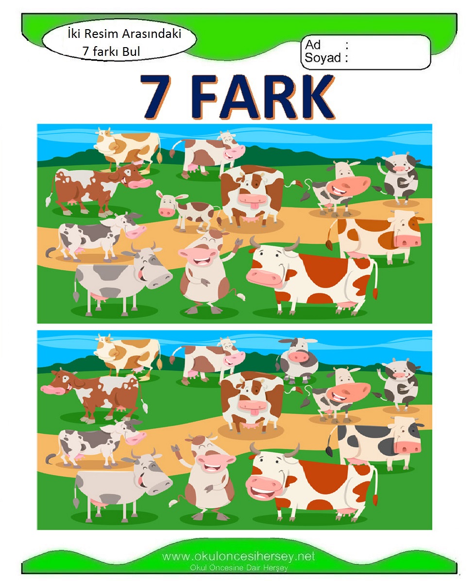 İki Resim Arasındaki 7 Farkı Bul