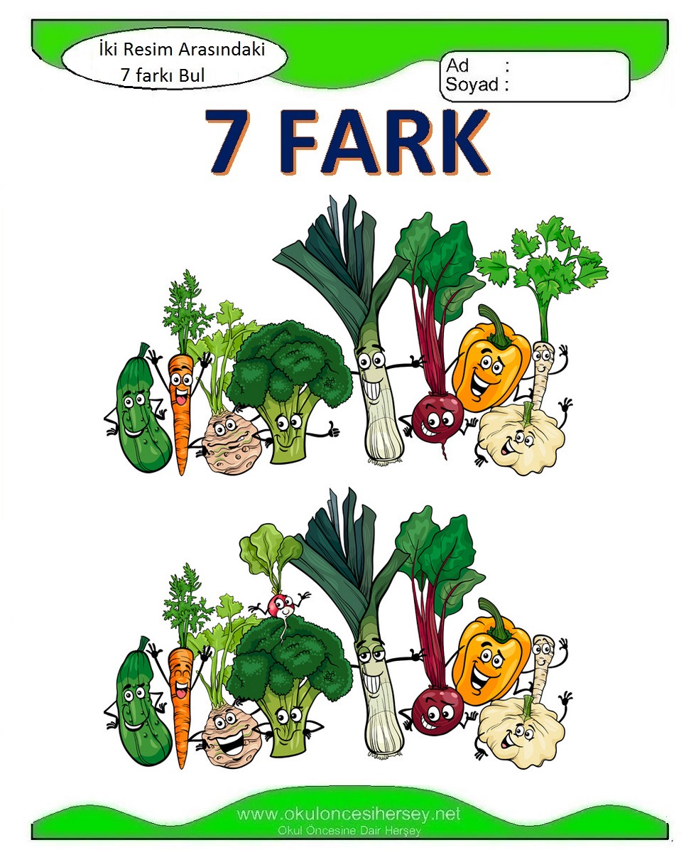 İki Resim Arasındaki 7 Farkı Bul