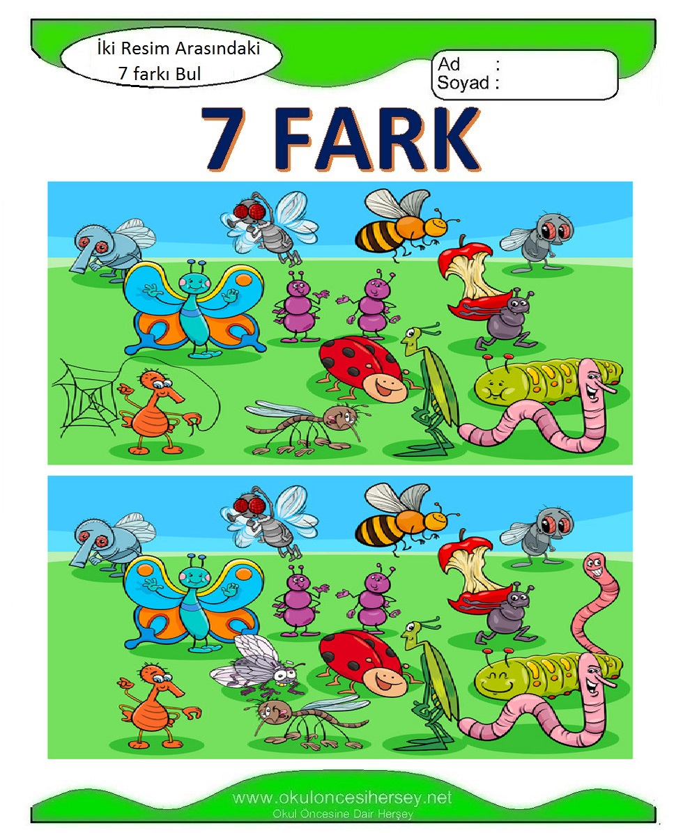 İki Resim Arasındaki 7 Farkı Bul