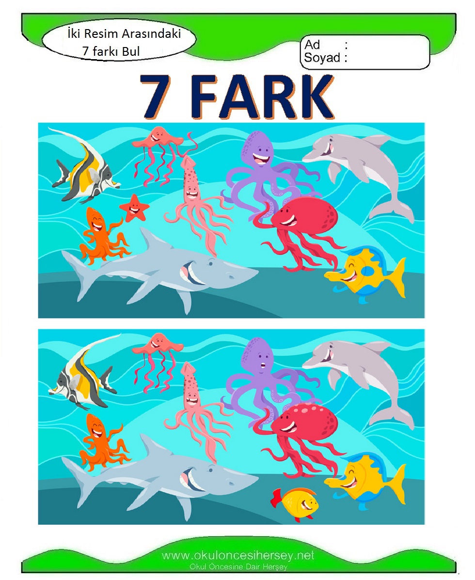 İki Resim Arasındaki 7 Farkı Bul