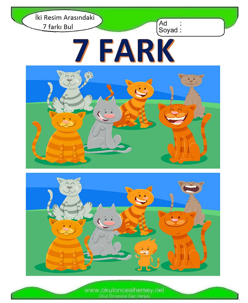 İki Resim Arasındaki 7 Farkı Bul