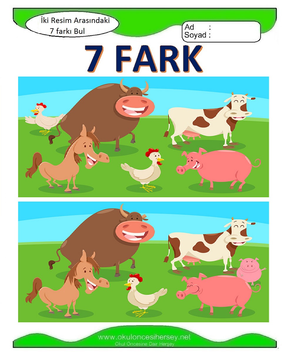 İki Resim Arasındaki 7 Farkı Bul