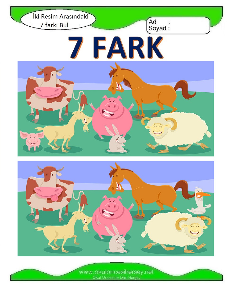 İki Resim Arasındaki 7 Farkı Bul