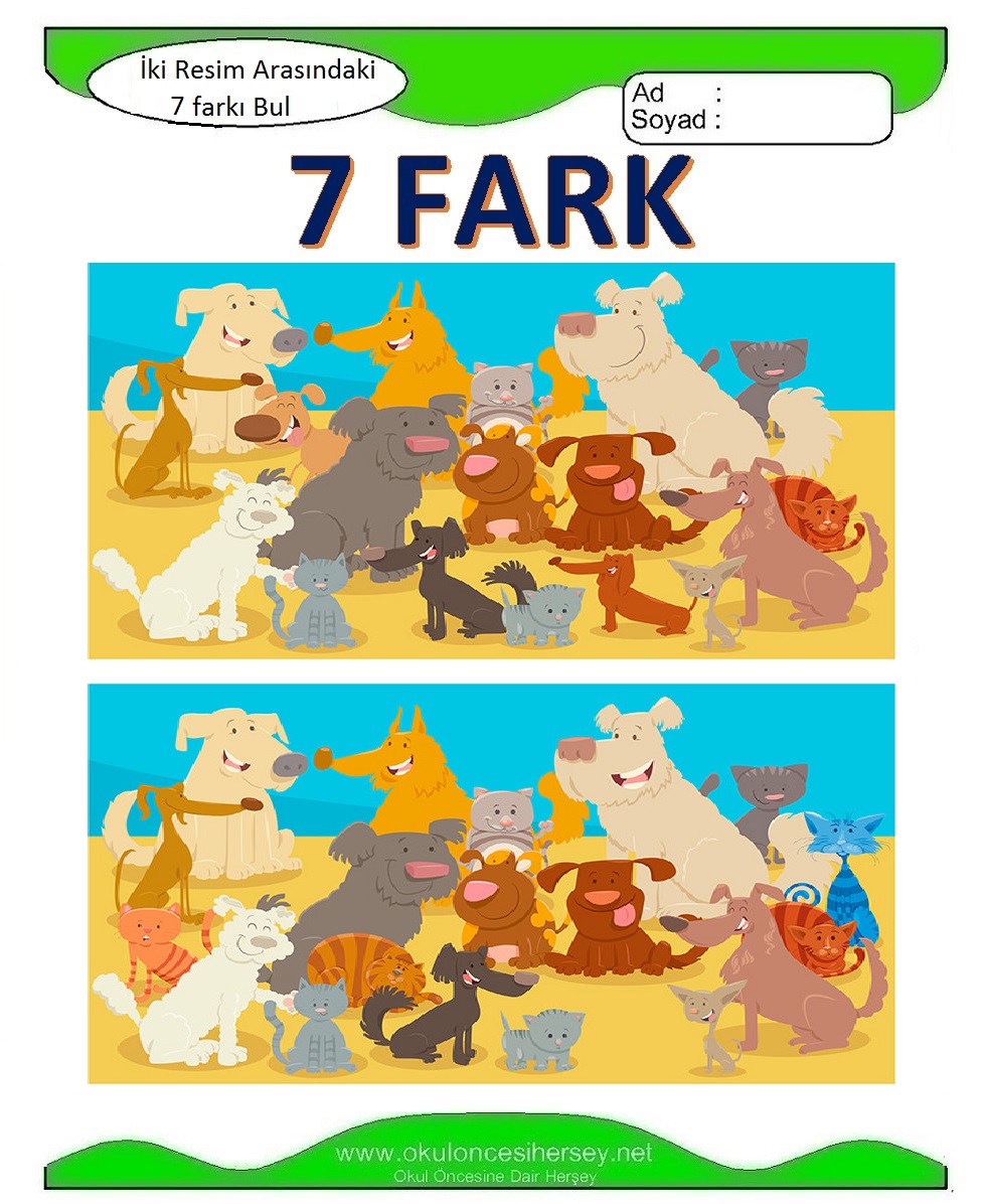 İki Resim Arasındaki 7 Farkı Bul