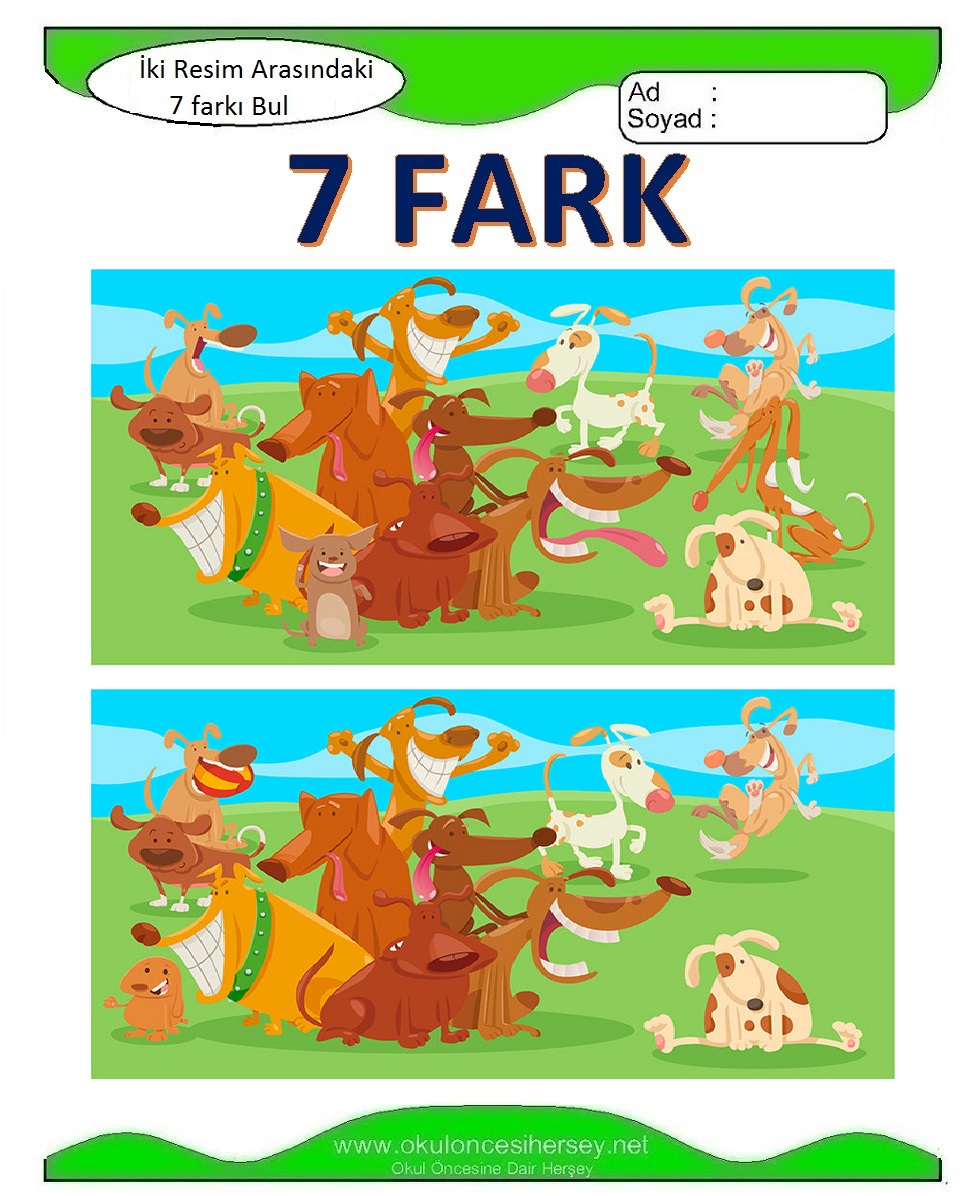 İki Resim Arasındaki 7 Farkı Bul