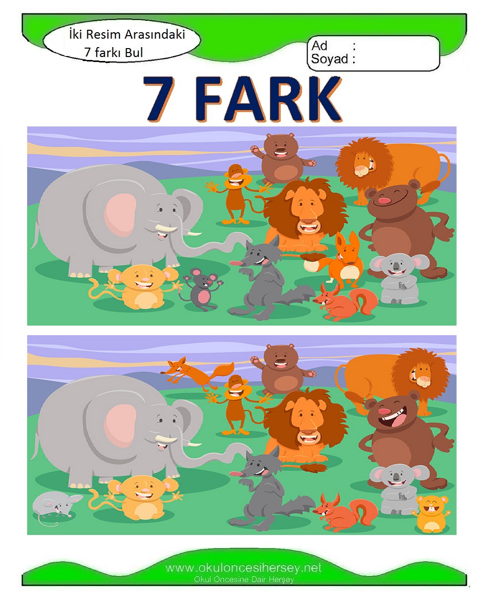 İki Resim Arasındaki 7 Farkı Bul