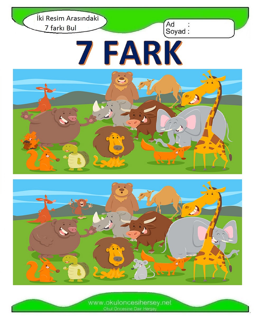 İki Resim Arasındaki 7 Farkı Bul