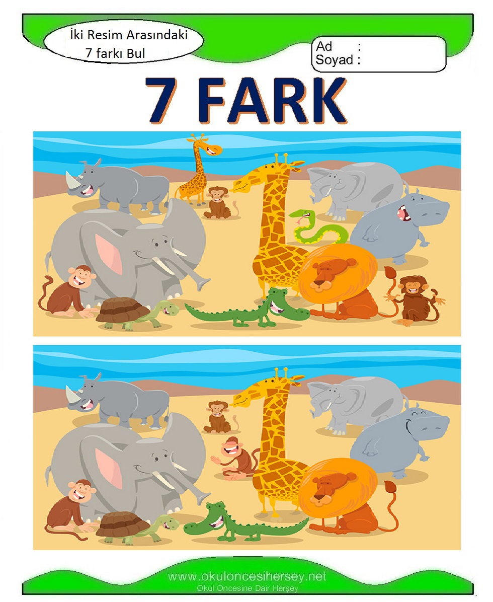 İki Resim Arasındaki 7 Farkı Bul