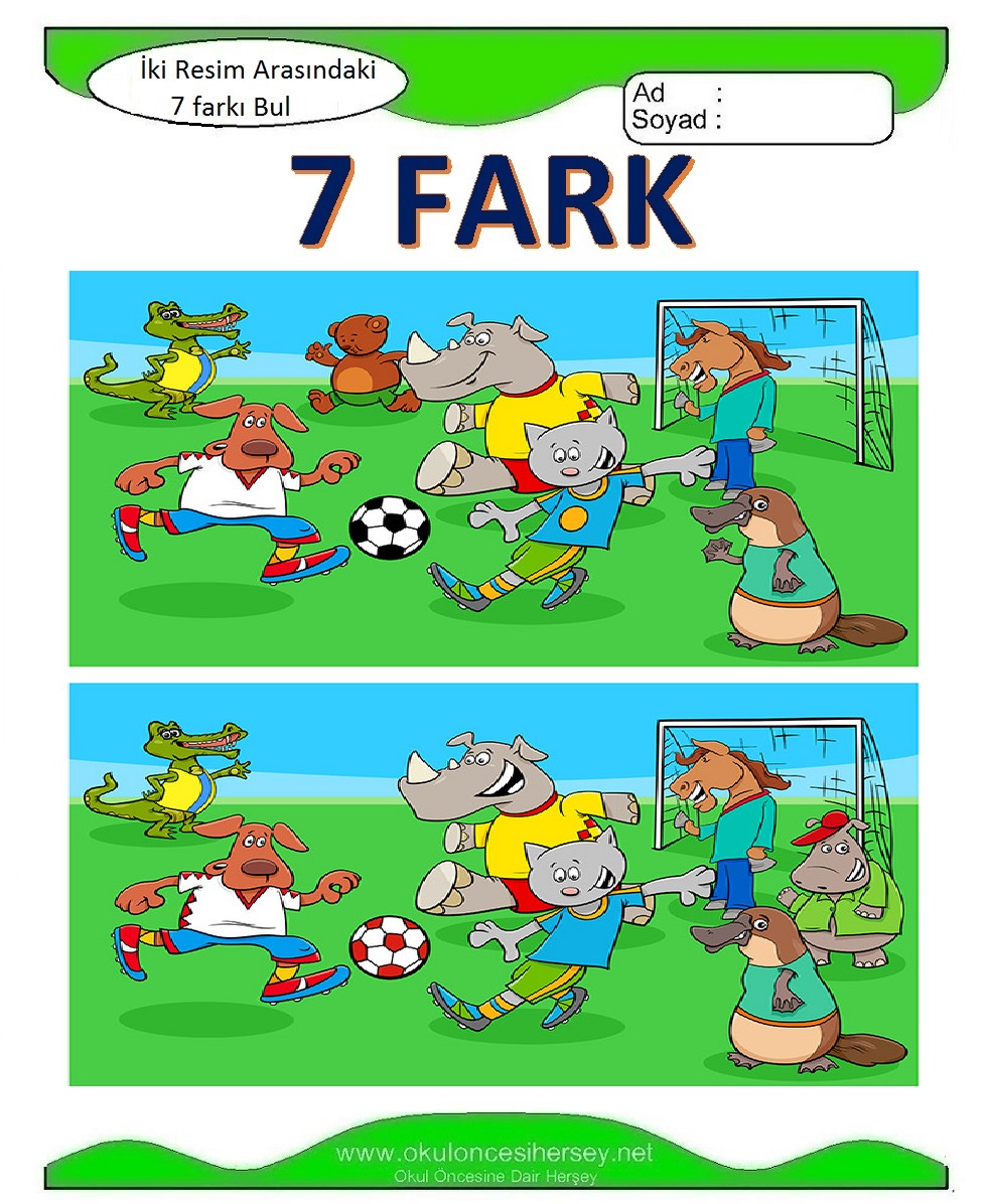 İki Resim Arasındaki 7 Farkı Bul