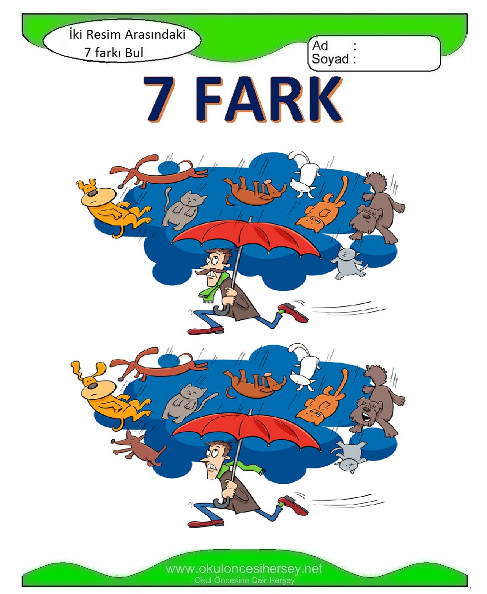 İki Resim Arasındaki 7 Farkı Bul