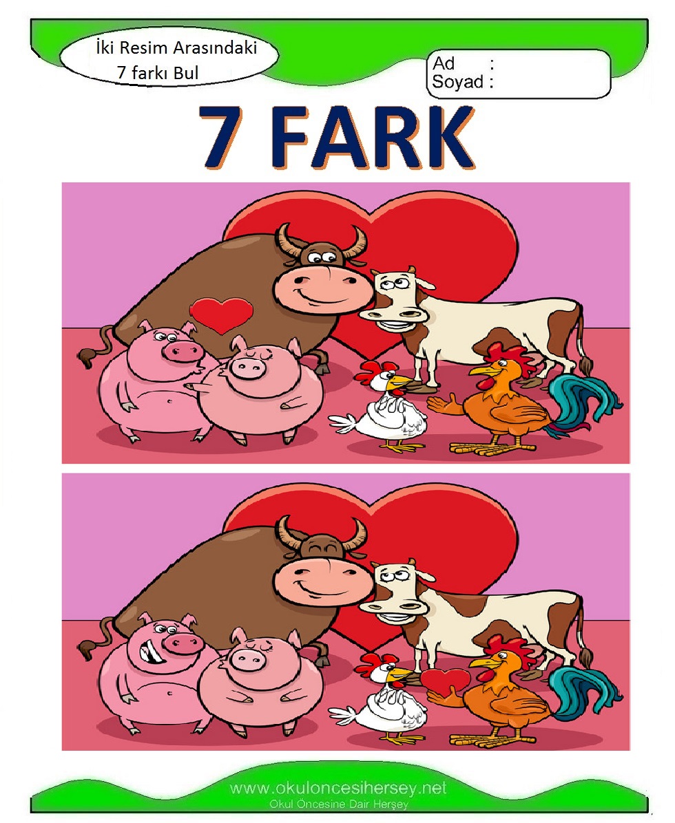 İki Resim Arasındaki 7 Farkı Bul