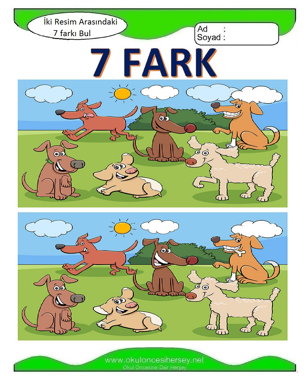 İki Resim Arasındaki 7 Farkı Bul